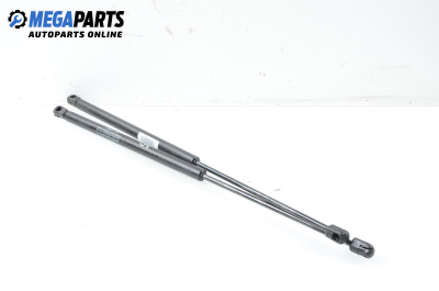 Амортисьор за багажник/товарно пространство за Renault Scenic I Minivan (09.1999 - 07.2010)