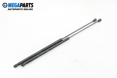 Амортисьор преден капак за Mercedes-Benz SLK-Class Cabrio (R171) (03.2004 - 02.2011)