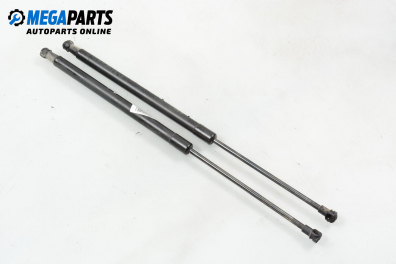 Амортисьор за багажник/товарно пространство за Audi A3 Hatchback II (05.2003 - 08.2012)