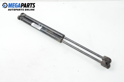 Амортисьор за багажник/товарно пространство за Renault Clio II Hatchback (09.1998 - 09.2005)