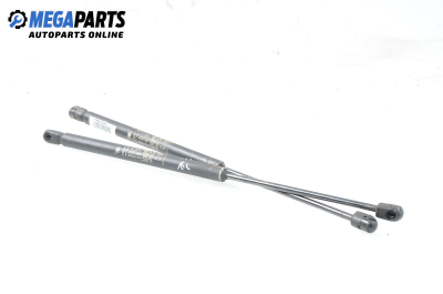 Амортисьор за багажник/товарно пространство за Fiat Punto Hatchback II (09.1999 - 07.2012)