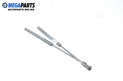 Амортисьор за багажник/товарно пространство за Fiat Stilo Hatchback (10.2001 - 11.2010)