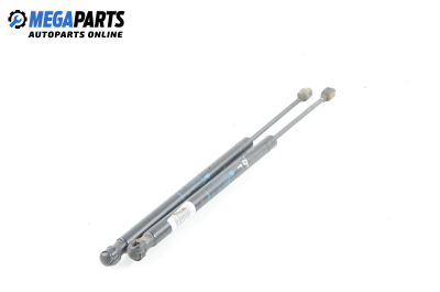 Амортисьор за багажник/товарно пространство за Renault Scenic II Minivan (06.2003 - 07.2010)