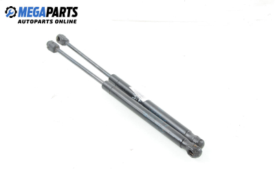 Амортисьор за багажник/товарно пространство за Renault Megane II Hatchback (07.2001 - 10.2012)