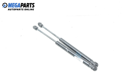 Амортисьор за багажник/товарно пространство за Renault Megane II Hatchback (07.2001 - 10.2012)