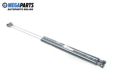 Амортисьор за багажник/товарно пространство за Mercedes-Benz A-Class Hatchback  (W168) (07.1997 - 08.2004)