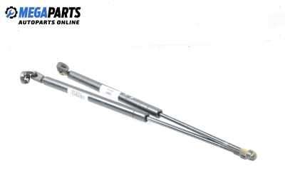 Амортисьор за багажник/товарно пространство за Renault Megane Scenic (10.1996 - 12.2001)