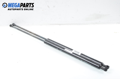 Амортисьор за багажник/товарно пространство за Renault Kangoo Van (08.1997 - 02.2008)