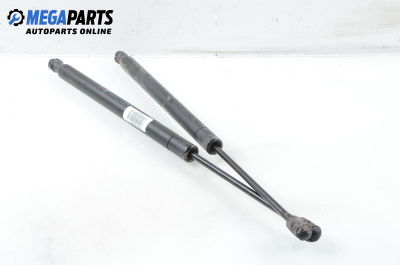 Амортисьор за багажник/товарно пространство за Renault Scenic II Minivan (06.2003 - 07.2010)