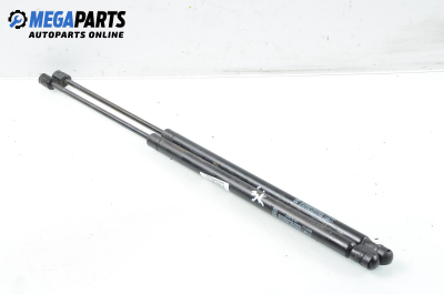 Амортисьор за багажник/товарно пространство за Renault Megane Scenic (10.1996 - 12.2001)