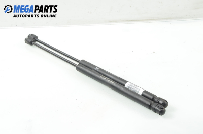 Амортисьор за багажник/товарно пространство за Fiat Punto Hatchback II (09.1999 - 07.2012)