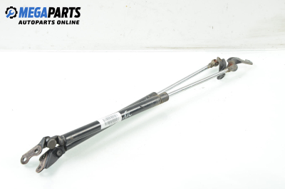 Амортисьор за багажник/товарно пространство за Toyota Yaris Hatchback I (01.1999 - 12.2005)