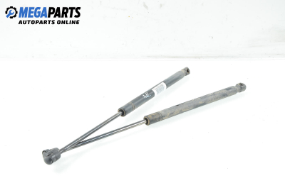 Амортисьор за багажник/товарно пространство за Opel Signum Hatchback (05.2003 - 12.2008)