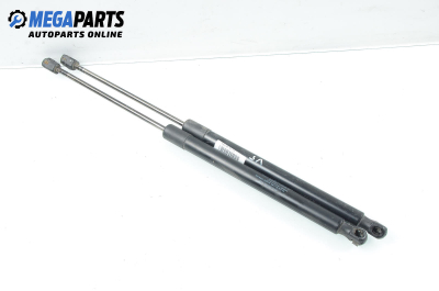 Амортисьор за багажник/товарно пространство за Mercedes-Benz B-Class Hatchback I (03.2005 - 11.2011)