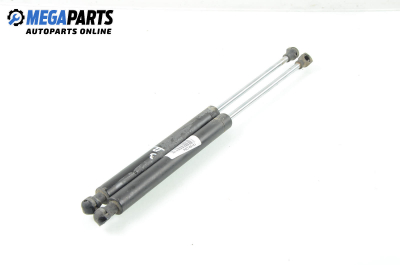 Амортисьор за багажник/товарно пространство за Renault Clio II Hatchback (09.1998 - 09.2005)