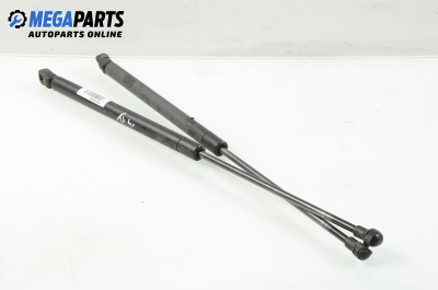 Амортисьор за багажник/товарно пространство за Audi A3 Hatchback I (09.1996 - 05.2003)