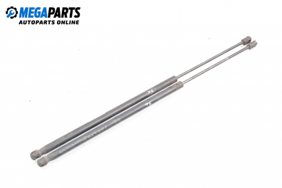 Амортисьор за багажник/товарно пространство за Renault Kangoo Van (08.1997 - 02.2008)