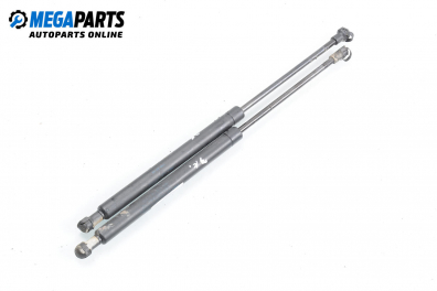 Амортисьор за багажник/товарно пространство за Renault Scenic I Minivan (09.1999 - 07.2010)