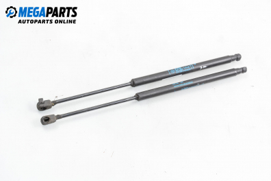 Амортисьор за багажник/товарно пространство за Fiat Idea Minivan (12.2003 - 12.2010)