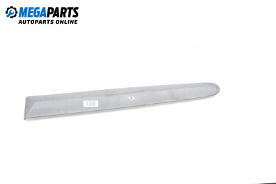 Външни лайсни за Renault Megane Scenic (10.1996 - 12.2001), миниван, позиция: дясна