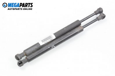 Амортисьор за багажник/товарно пространство за Citroen C3 Pluriel (05.2003 - 03.2010)