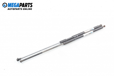 Амортисьор за багажник/товарно пространство за Renault Kangoo Van (08.1997 - 02.2008)