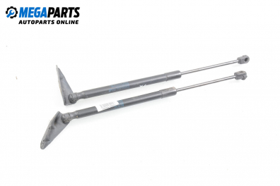 Амортисьор за багажник/товарно пространство за Fiat Sedici mini SUV (06.2006 - 10.2014)