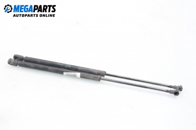 Амортисьор за багажник/товарно пространство за Seat Leon Hatchback I (11.1999 - 06.2006)