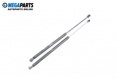 Амортисьор за багажник/товарно пространство за Renault Megane Scenic (10.1996 - 12.2001)