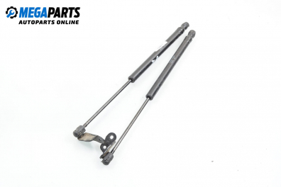 Амортисьор за багажник/товарно пространство за Kia Picanto Hatchback I (04.2004 - 05.2011)