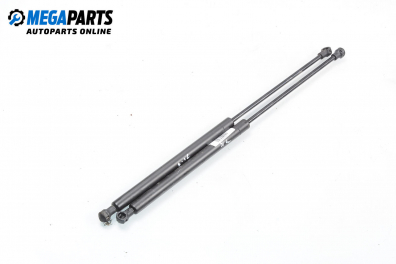 Амортисьор за багажник/товарно пространство за Citroen C5 I Sedan (03.2001 - 03.2005)