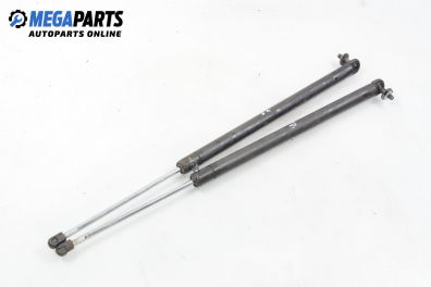 Амортисьор за багажник/товарно пространство за Pontiac Trans Sport Van (07.1989 - 12.1997)