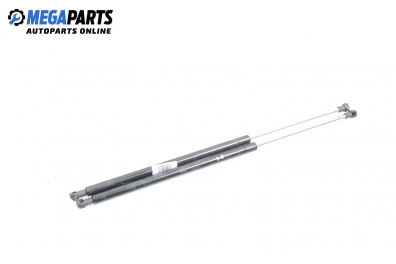 Амортисьор за багажник/товарно пространство за Renault Megane Scenic (10.1996 - 12.2001)