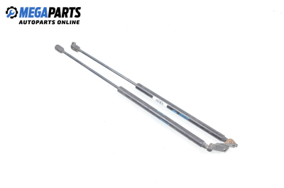 Амортисьор за багажник/товарно пространство за Hyundai Santa Fe I SUV (11.2000 - 03.2006)