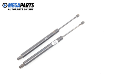 Амортисьор за багажник/товарно пространство за Volkswagen Sharan Minivan I (05.1995 - 03.2010)