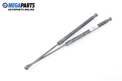 Амортисьор за багажник/товарно пространство за Audi A3 Hatchback II (05.2003 - 08.2012)