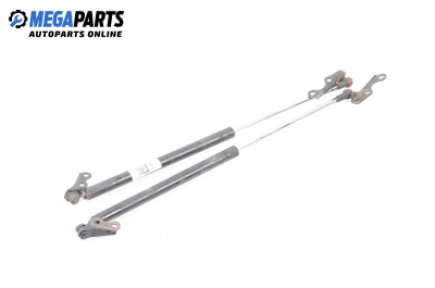 Амортисьор за багажник/товарно пространство за Toyota Yaris Hatchback I (01.1999 - 12.2005)