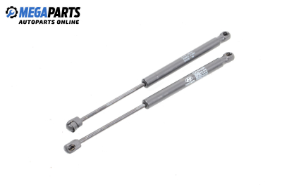 Амортисьор за багажник/товарно пространство за Hyundai Tucson SUV (06.2004 - 11.2010)