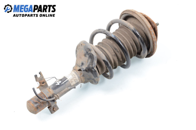 Макферсон за Rover 25 Hatchback (09.1999 - 06.2006), хечбек, позиция: задна, дясна