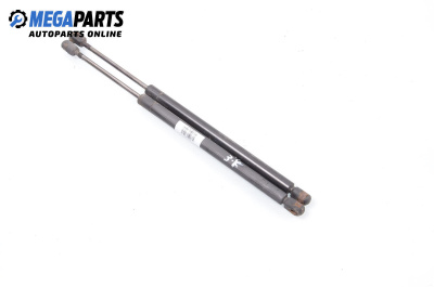 Амортисьор за багажник/товарно пространство за Ford Focus I Hatchback (10.1998 - 12.2007)