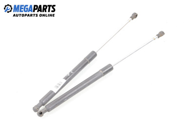 Амортисьор за багажник/товарно пространство за Renault Clio III Hatchback (01.2005 - 12.2012)