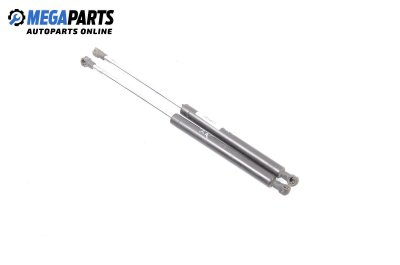 Амортисьор за багажник/товарно пространство за Renault Clio II Hatchback (09.1998 - 09.2005)