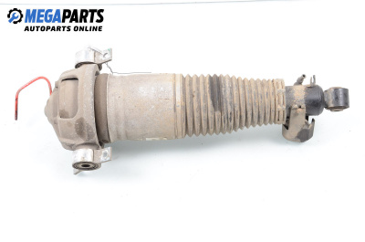 Въздушен амортисьор за Volkswagen Touareg SUV (10.2002 - 01.2013), джип, позиция: задна, лява