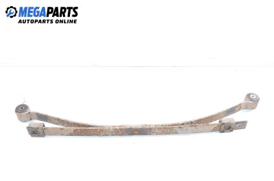 Ресори за Ford Transit Connect (06.2002 - 12.2013), товарен