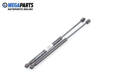 Амортисьор за багажник/товарно пространство за Renault Megane I Hatchback (08.1995 - 12.2004)