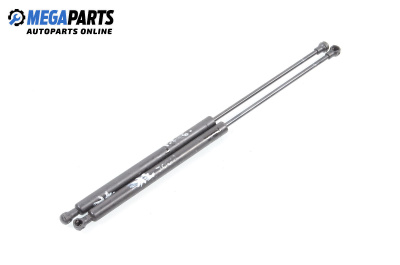 Амортисьор за багажник/товарно пространство за Peugeot 206 Hatchback (08.1998 - 12.2012)