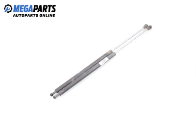 Амортисьор за багажник/товарно пространство за Renault Laguna I Hatchback (11.1993 - 08.2002)