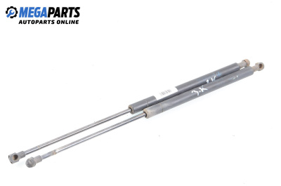 Амортисьор за багажник/товарно пространство за Fiat Palio Weekend (04.1996 - 04.2012)