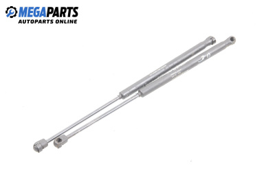 Амортисьор за багажник/товарно пространство за Fiat Punto Hatchback II (09.1999 - 07.2012)