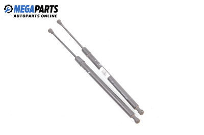 Амортисьор за багажник/товарно пространство за Renault Modus / Grand Modus Minivan (09.2004 - 09.2012)